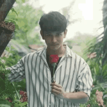 gunnapat gunthestar %E0%B8%81%E0%B8%B1%E0%B8%99%E0%B8%99%E0%B8%A0%E0%B8%B1%E0%B8%97%E0%B8%A3