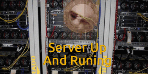 server-runing-server-up-and-running.gif
