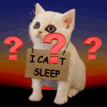 I Cant Sleep I Cannot Sleep GIF - I Cant Sleep I Cannot Sleep No Sleep GIFs