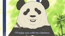 cutie repay w ith cuteness panda cute smile