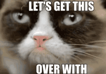 Let'S Get This Over With - Grumpy Cat GIF - Grumpy Cat Tarder Sauce Tarder The Cat GIFs