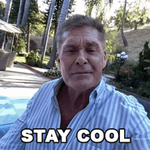 Stay Cool David Hasselhoff GIF - Stay Cool David Hasselhoff Cameo GIFs