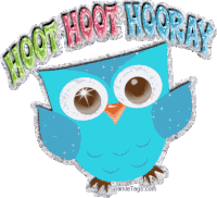 Hooray Hoot Hoot Hooray Sticker - Hooray Hoot Hoot Hooray Owl Stickers