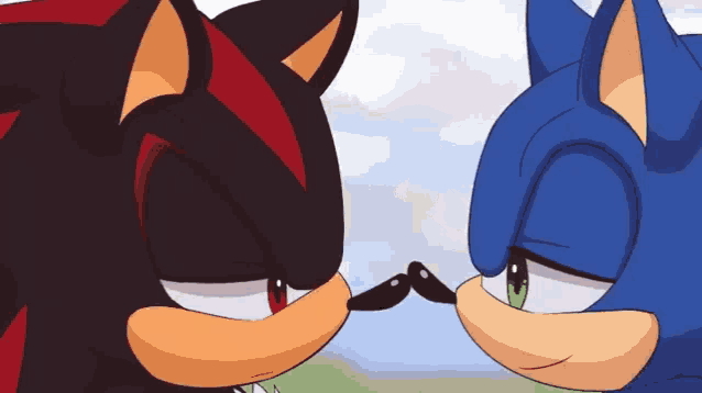 Shadow Sonic 2 Gif