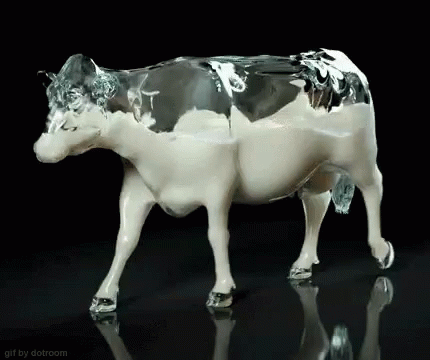 Cow Milk GIF - Cow Milk GIFs