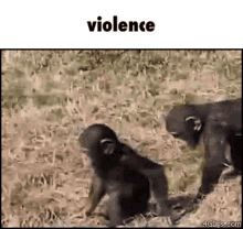 Violence Meme GIF - Violence Meme Memes GIFs