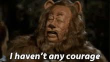 Cowardly Lion GIF - Wizard Of Oz Lion Courage GIFs