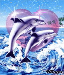 Defend Love GIF - Defend Love Dolphin GIFs