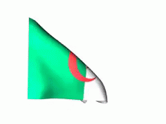 Algeria GIF - Algeria Flag Windy GIFs