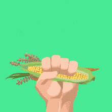 Support Agricultural Resilience Corn GIF - Support Agricultural Resilience Corn Support The Green New Deal GIFs