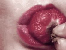 Lips Strawberry GIF - Lips Strawberry Sexy GIFs