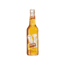 party beer cheers spin bottle party beer cheers spin bottle