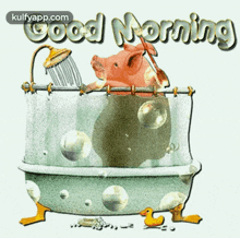 good morning bathing pig wishing iniya iravu tamil