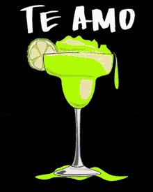 Tequila Day Drinking GIF - Tequila Day Tequila Drinking GIFs