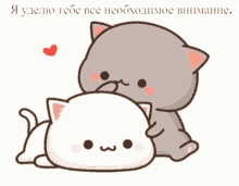 love attention