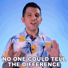 No One Could Tell The Difference Shane Luis GIF - No One Could Tell The Difference Shane Luis Rerez GIFs