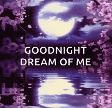 Good Night GIF - Good Night Goodnight GIFs