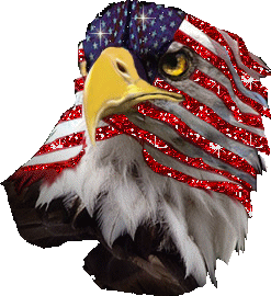 America Eagle Sticker - America Eagle Sparkle Stickers