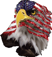 America Eagle Sticker - America Eagle Sparkle Stickers