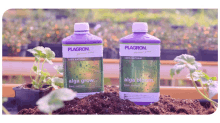 Plagron Natural GIF - Plagron Natural Alga Grow GIFs