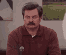 Ron Swanson Nick Offerman GIF - Ron Swanson Nick Offerman Parks And Recreation GIFs