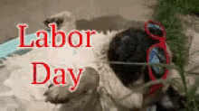 Labor Day GIF - Labor Day Happylaborday GIFs