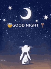 Goodnight Bunny GIF - Goodnight Bunny Stars GIFs