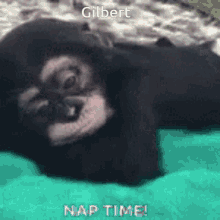 Gilbert Nap Time GIF - Gilbert Nap Time GIFs