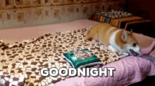 Goodnight Corgi GIF - Goodnight Corgi Roll GIFs