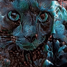 kitty cat psychedelic brilliant hypnotic