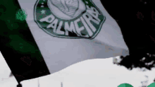 Vai Palmeiras GIF - Verdao Palmeiras Palestra GIFs