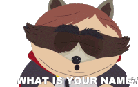 What Is Your Name The Coon Sticker - What Is Your Name The Coon South Park Stickers