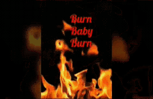 Fire Burn GIF - Fire Burn GIFs