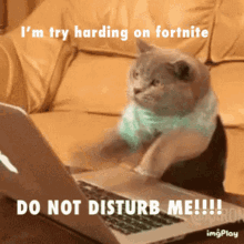Fortnite Cat GIF - Fortnite Cat Do Not Disturb Me GIFs