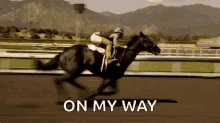 on my way profile derby horse racing racing horse