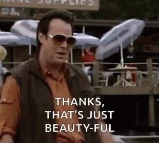 the-great-outdoors-dan-aykroyd.gif