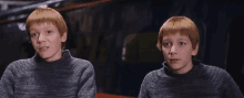 Twins Harry Potter GIF - Twins Harry Potter George GIFs
