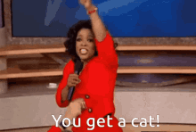 Oprah Cats GIF - Oprah Cats GIFs