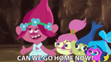 Can We Go Home Now Poppy GIF - Can We Go Home Now Poppy Trolls The Beat Goes On GIFs