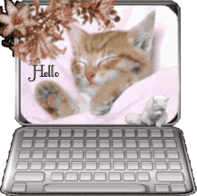 hello cat cute laptop glitter