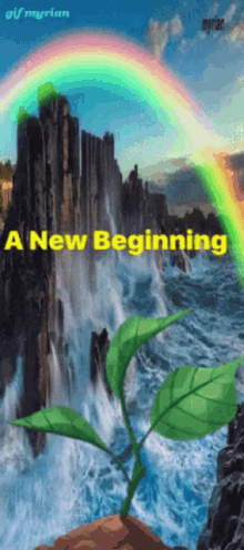 new beginning
