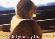 Cat Look At You GIF - Cat Look At You Why Did You Say That Name GIFs