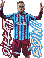 Trabzonspor Edin Sticker - Trabzonspor Edin Vişça Stickers