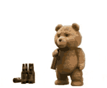 Teddy Bear Ted GIF - Teddy Bear Ted Drinking GIFs