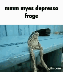 Froge Mmm Myes Depresso Froge GIF - Froge Mmm Myes Depresso Froge Frog GIFs
