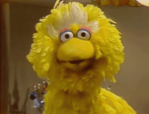 Stop Being mean to Big Bird!