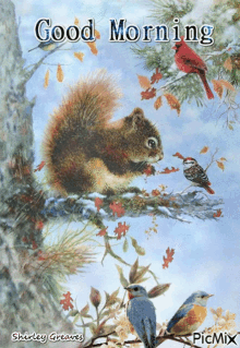 Good Morning Squirrel GIF - Good Morning Squirrel Bird GIFs
