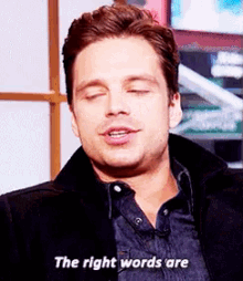 therightwords sebastianstan