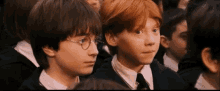 Ron Weasley Gossip GIF - Ron Weasley Gossip Harry Potter GIFs