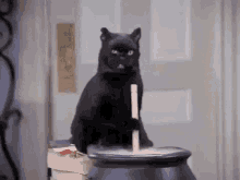 Black Cat GIF - Black Cat Witch GIFs